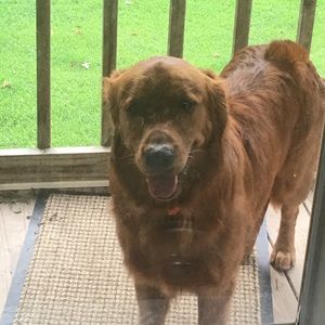 Meet your Posher, Craton